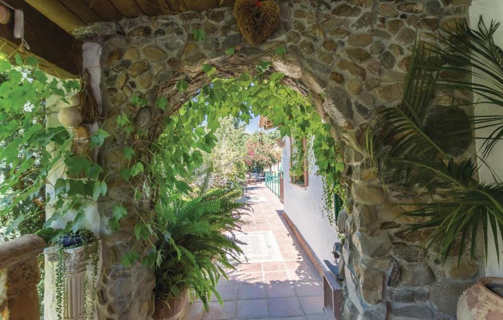 Finca Los Burros Tolatán Dış mekan fotoğraf