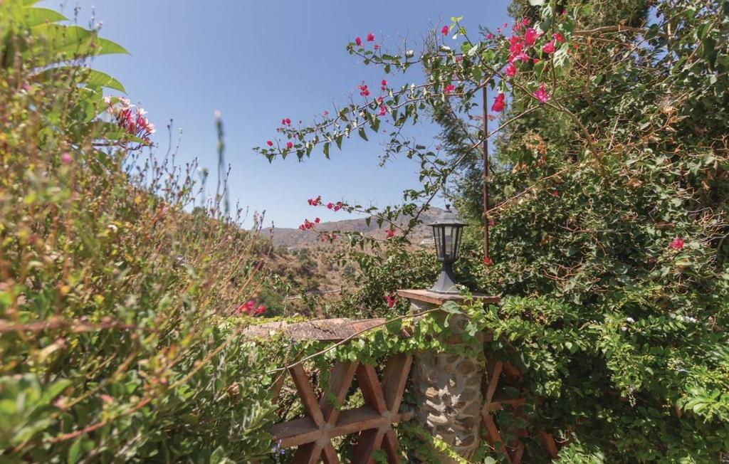 Finca Los Burros Tolatán Dış mekan fotoğraf