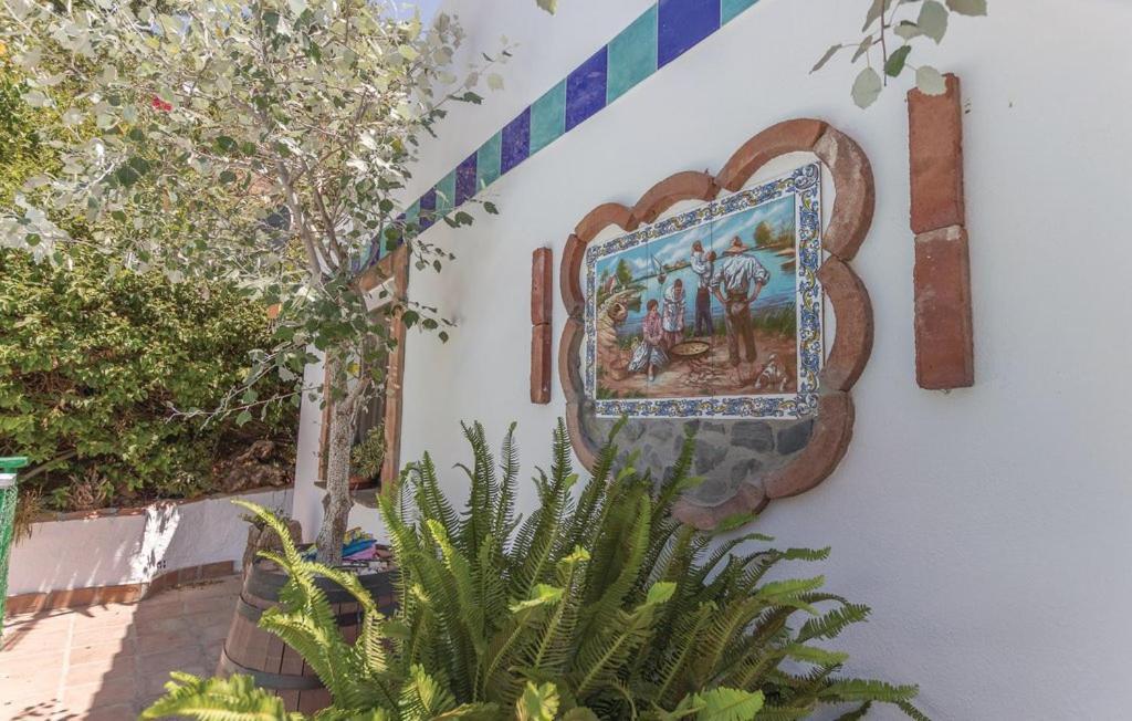 Finca Los Burros Tolatán Dış mekan fotoğraf