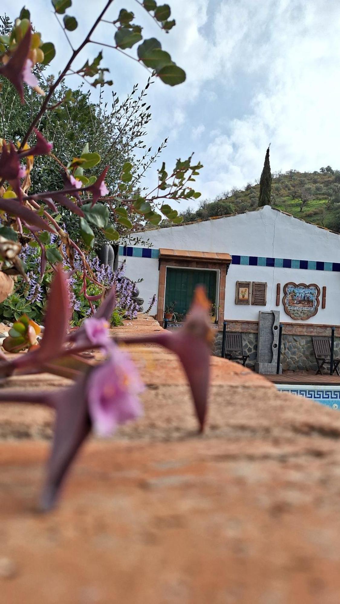 Finca Los Burros Tolatán Dış mekan fotoğraf